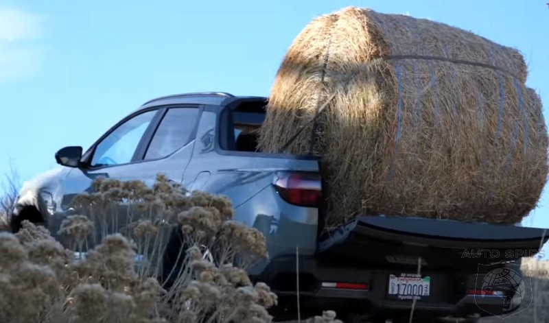 WATCH: Hyundai Santa Cruz Pickup Hauls A 900LB Bail Of Hay With No Fuss